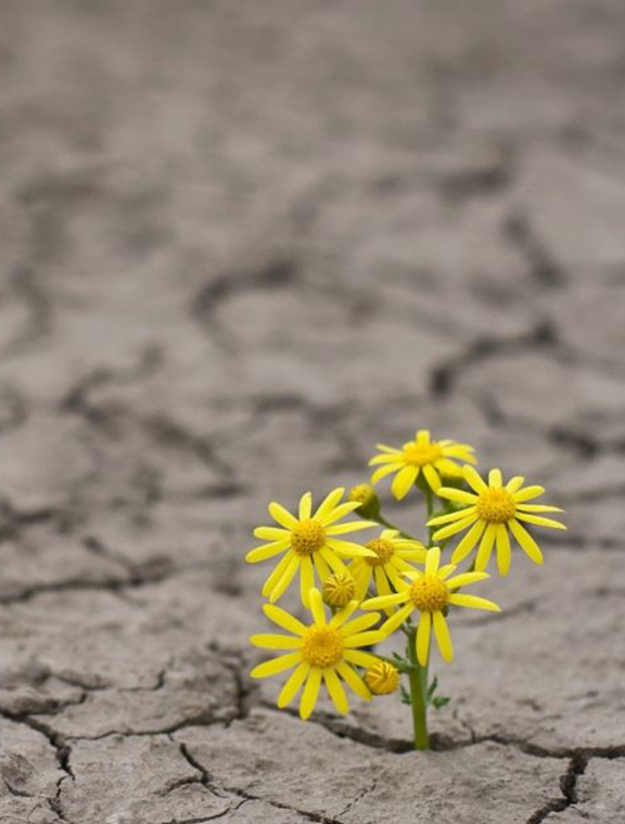 THE IMPORTANCE OF RESILIENCE IN SALES AND HOW TO DEVELOP IT