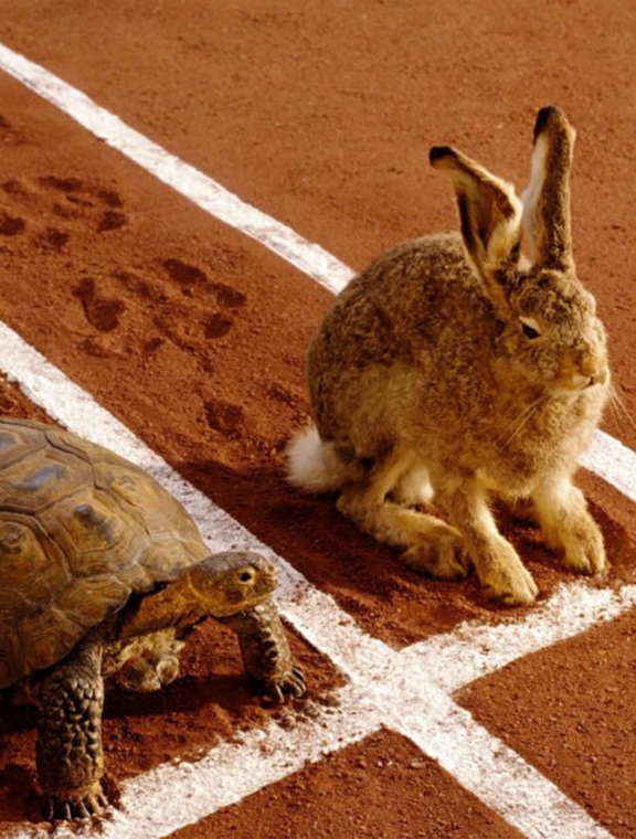 WHAT THE TORTOISE AND THE HARE TEACHES ABOUT SALES – PART 1: THE RACE