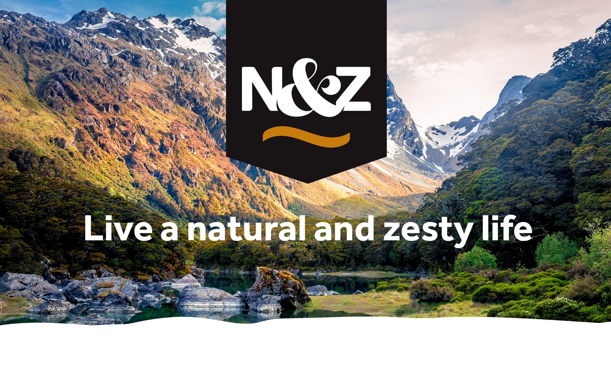 N&Z Brand Development – Case Study-image1 